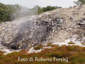Putizza.jpg (53695 byte)