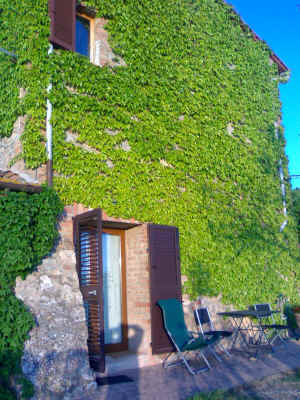 camera girasoli (1).jpg (688765 byte)