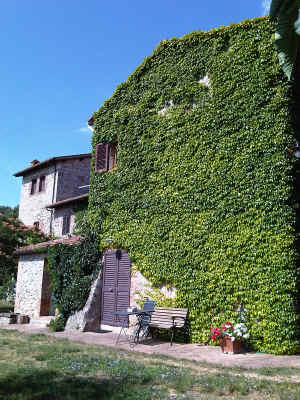 provini camera 2 (7).jpg (2819288 byte)
