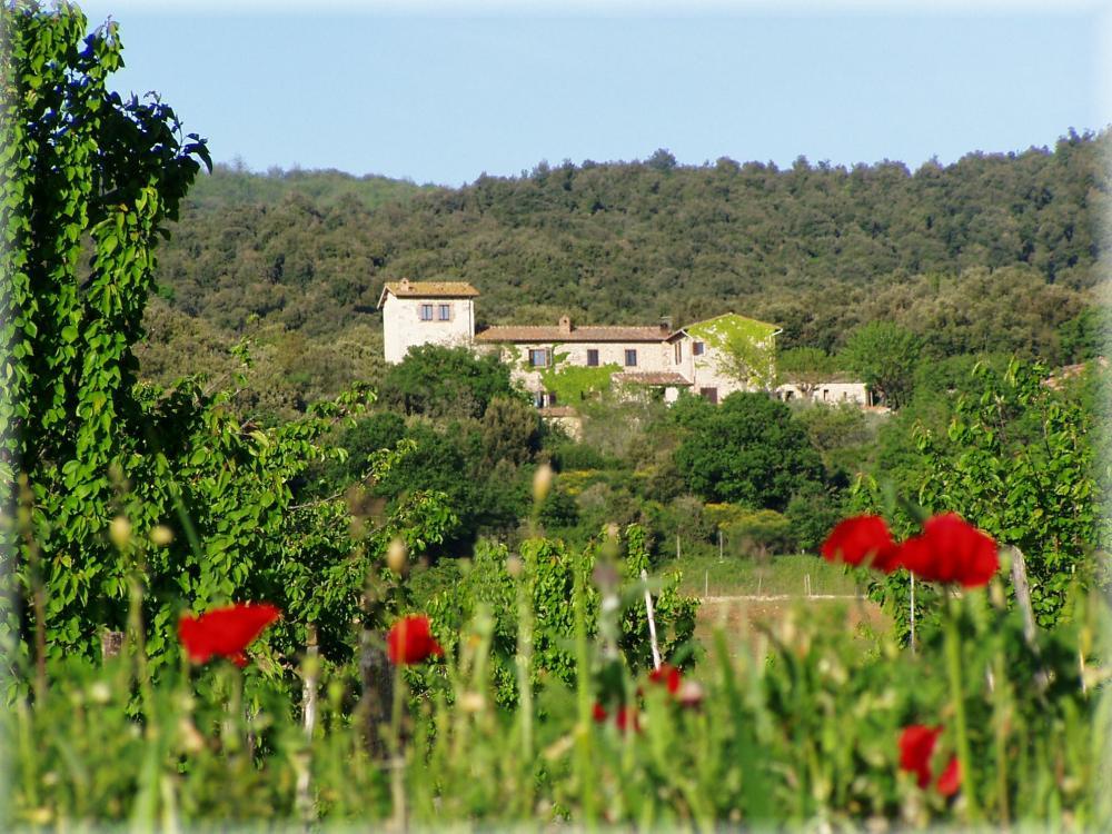 vista ravvicinata del complesso agrituristico di Torre Doganiera