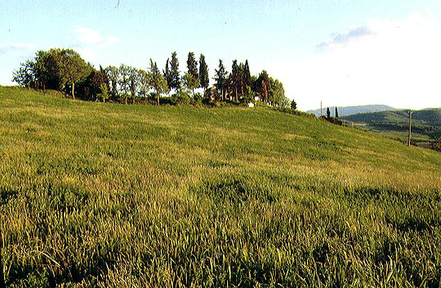 The farm houses