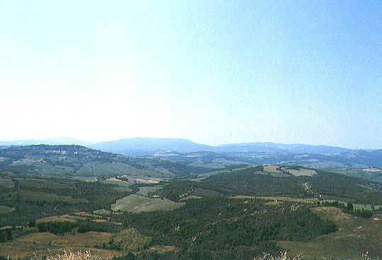 The hills