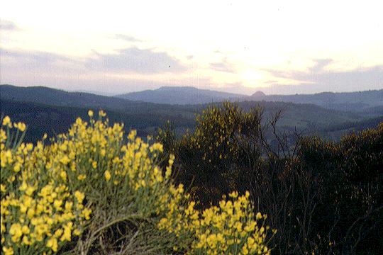 Countryside