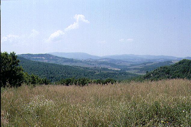 The valley d'Elsa