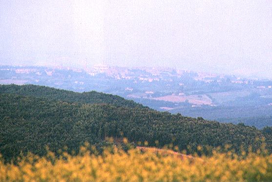 Siena in the distance