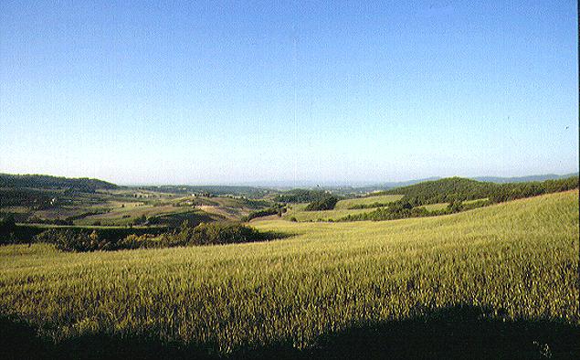 The Senna and Cecina Valley