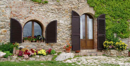 ulivi_dettaglio.jpg (327890 byte)